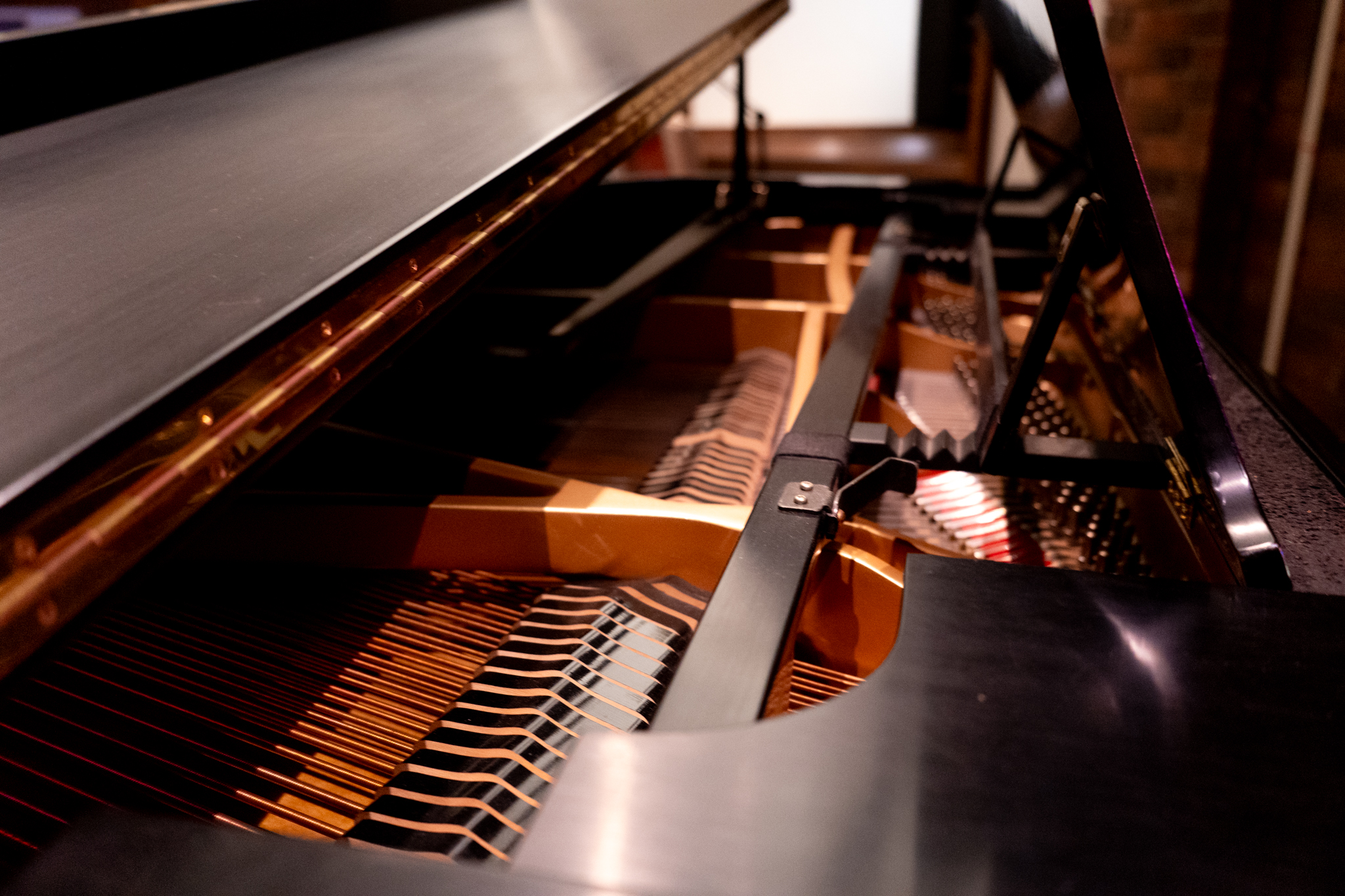 The strings and hammers inside of a grand piano.